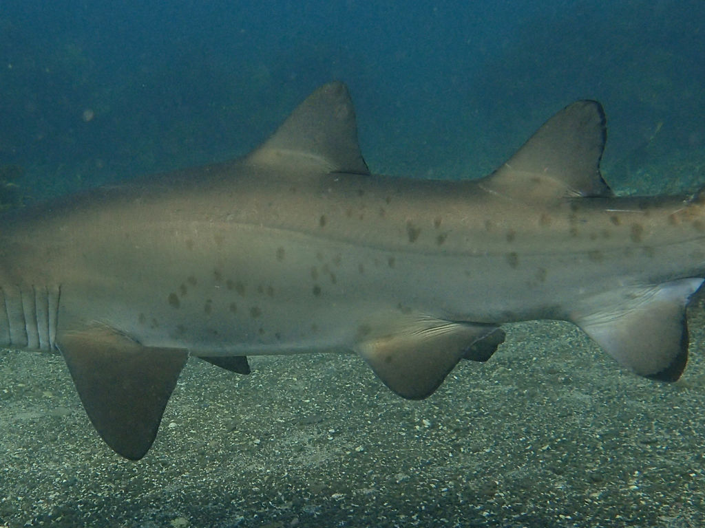 d9904ba3-dd05-4550-b6a8-8254650242d3