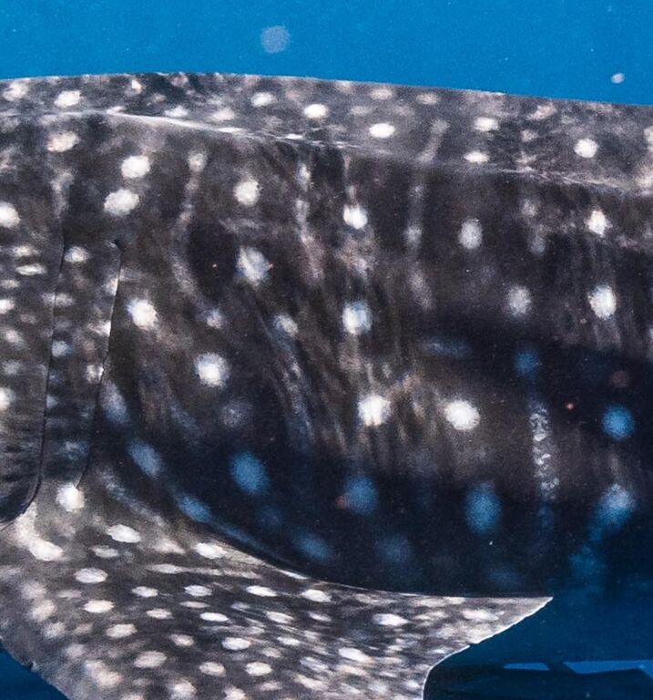 9ccedf89-67a2-48b3-b147-a8629116869b