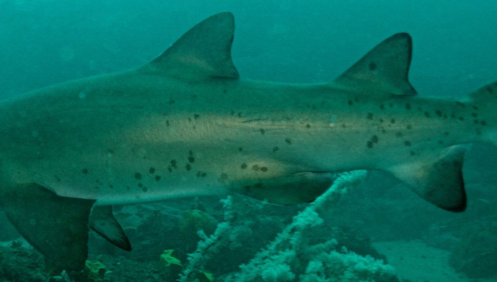 29d8ddf0-1b29-4144-8ff6-2f9a3dd08797