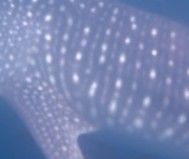 8a09a962-79e8-4d7a-a7bb-e7d95527eecc