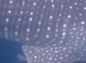 8a09a962-79e8-4d7a-a7bb-e7d95527eecc