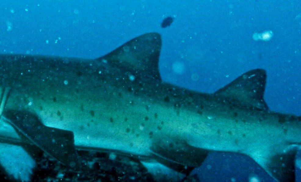 87202a10-a81f-4914-800e-fa3162ae5b86