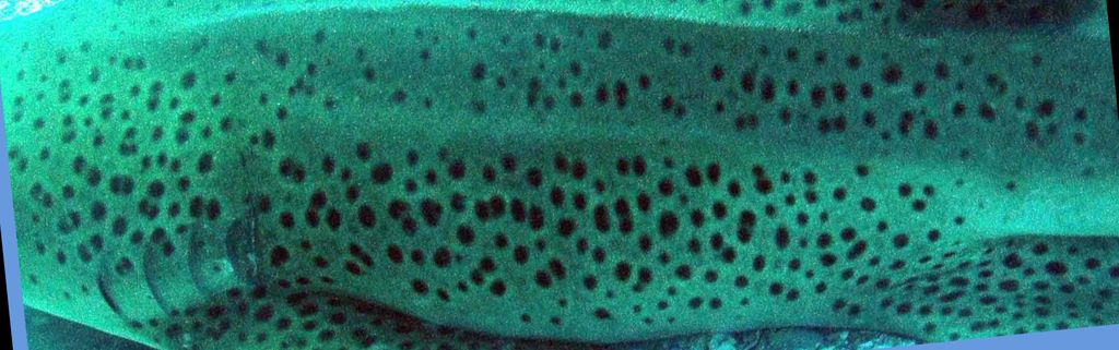 31286d42-0343-4e90-a3b0-82f2f349f5c7