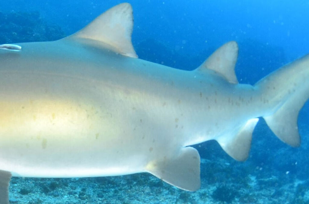 f4461bb0-2dbf-410d-a3f8-ff5dbe45c6b2