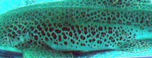 3a0349fb-672b-4029-842c-7262abd4d234