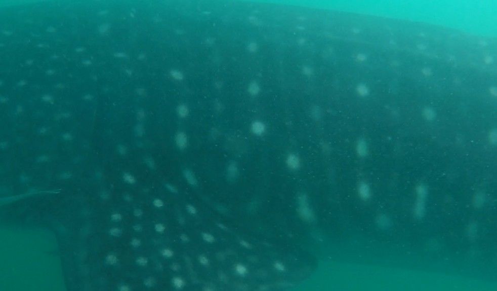 205957ff-fa7c-476a-a4db-c5a86190509b