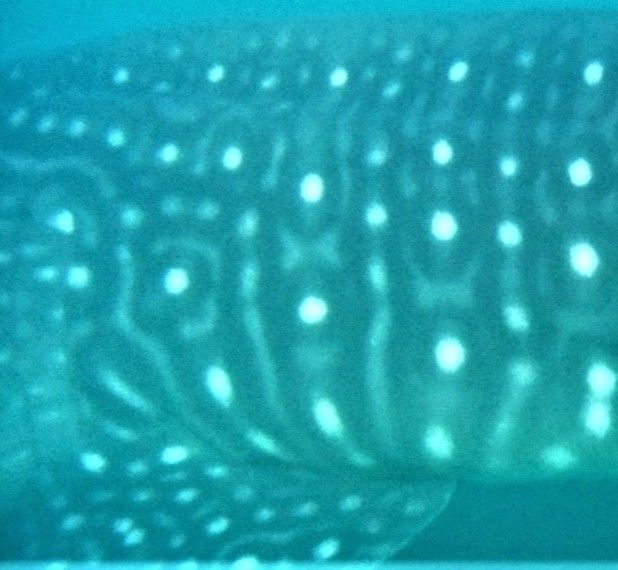 e46129b8-f24f-40ea-bbdf-a9a1013cc442