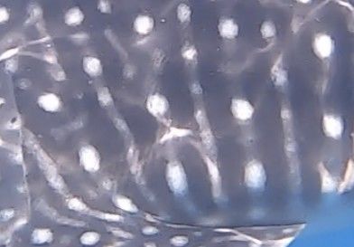 717c6682-8e59-421c-bf99-2bb8a0f1dd98