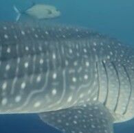 fd7d1a5f-325d-477b-92d1-06bcaca1a2c6