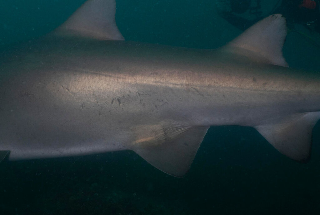 f50df1e7-4a79-40bc-860e-27adeeba150e