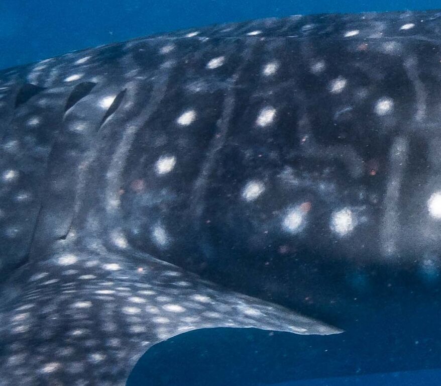 60b7a548-f5d0-4b2b-9210-1946bd47c954