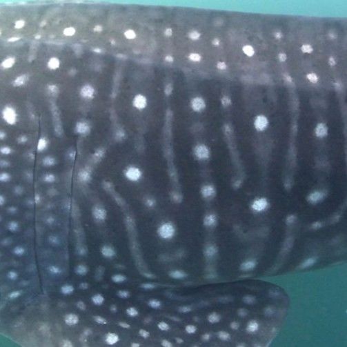 557621e6-a3e5-4199-bf54-db5dd48711c7