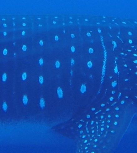 6579de5e-1c4f-4a68-b7a1-ead6f85f7576