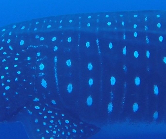 6579de5e-1c4f-4a68-b7a1-ead6f85f7576