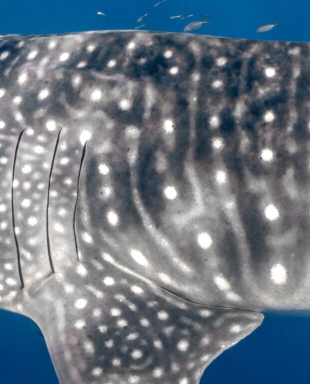 59cb6e64-e4a0-43b6-b2c4-65bfb72be724