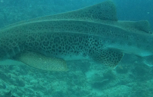 777a7713-60c1-4fc4-ba9d-95924db5a729