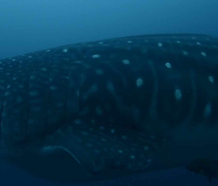 ddf52b12-3d82-478d-9229-0f01cdeb22f4