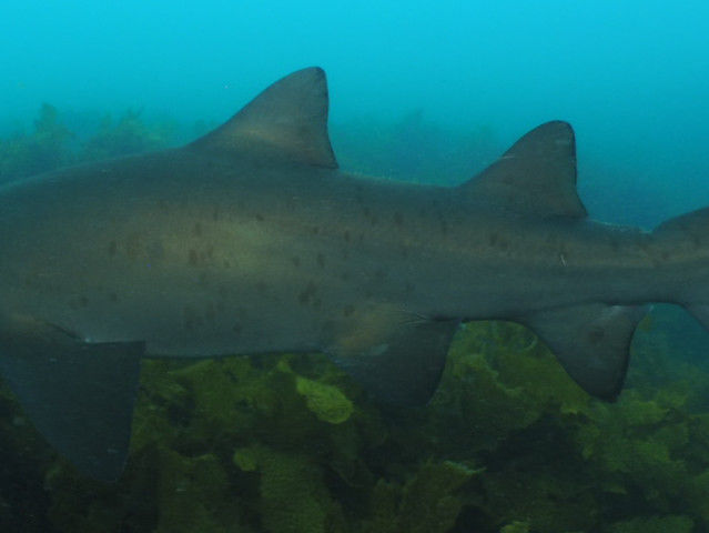 fe091272-f256-4d72-b9dd-54a933a63e78