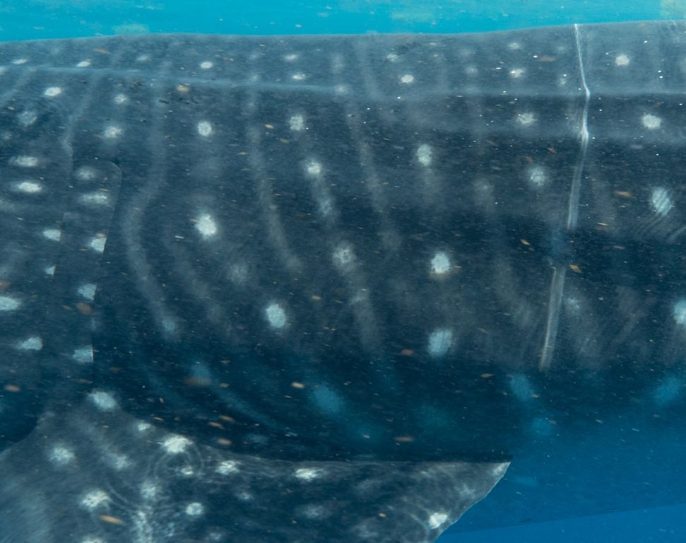 c763d5f4-170d-4697-acf9-36b908ed52bb