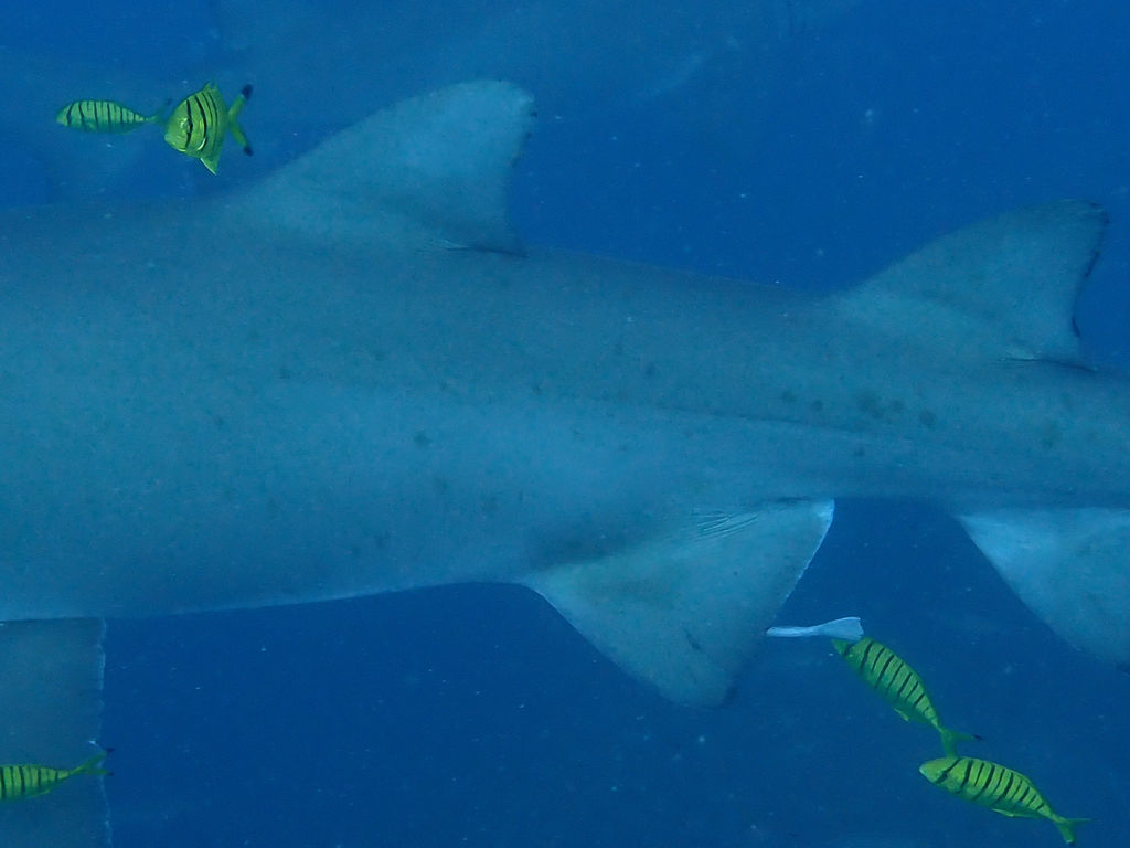 06803384-125b-4e6b-a8e0-639bbf0fe87a