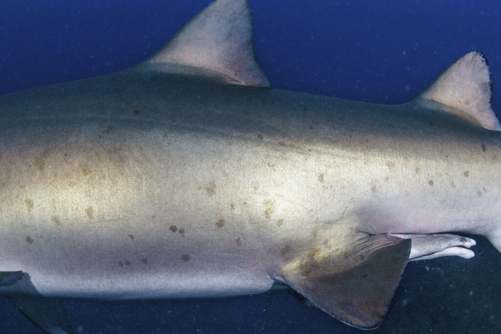 fbd192a5-5b67-4145-89a9-c4cc3aaace47