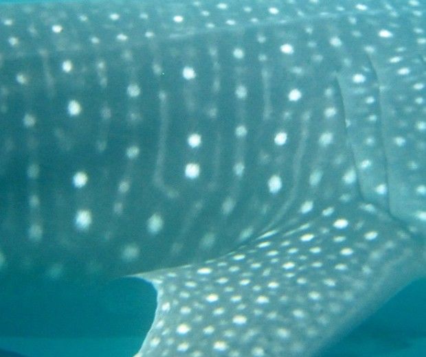 7fd2d62b-6f9a-4387-9e07-e216c41168c1