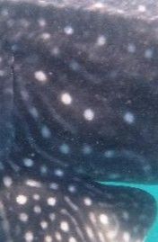 c8692b7e-818d-4517-8ee3-8959f7d76be1