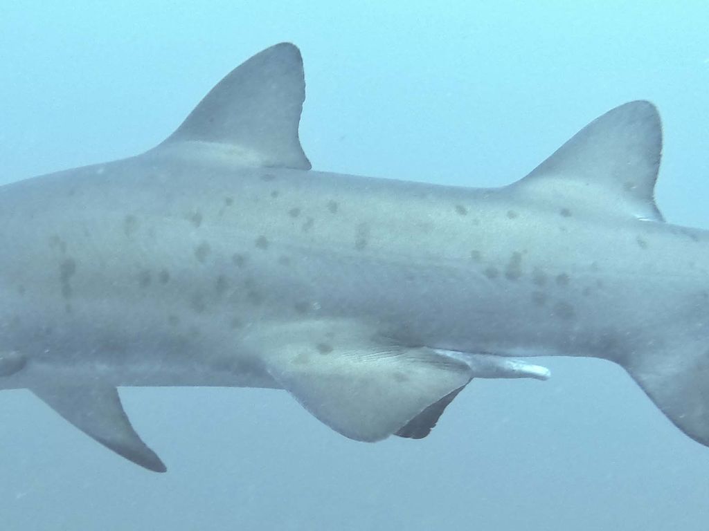 303c40a2-7c76-4c6c-ad53-c4a00d73350c