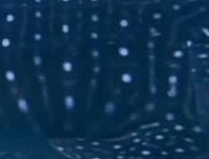 5eef6ec3-978c-4e6e-9d36-3cf7c6a313b7