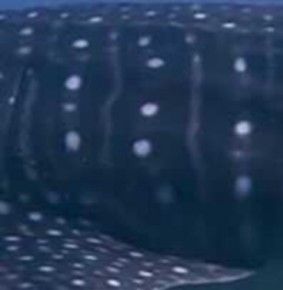 5eef6ec3-978c-4e6e-9d36-3cf7c6a313b7