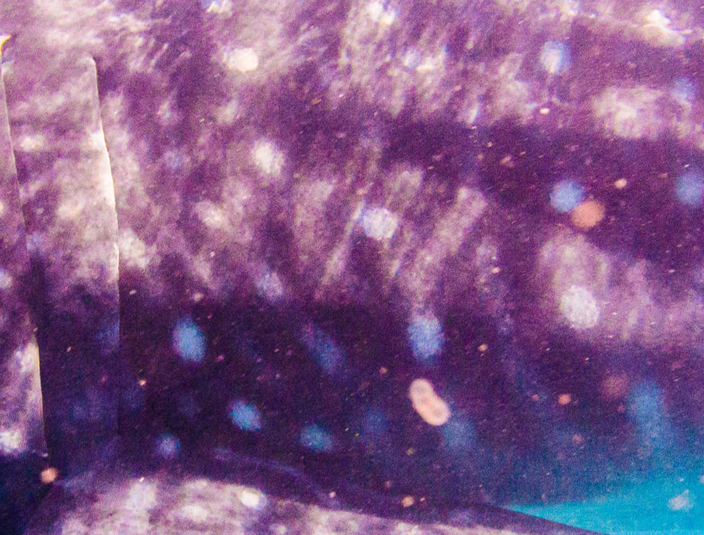 04fa1354-2d71-4039-9403-3d01436de352