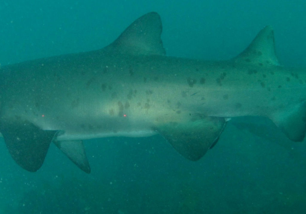 7fe6cf54-2b1b-4f0d-bde9-7d6e89b9d659