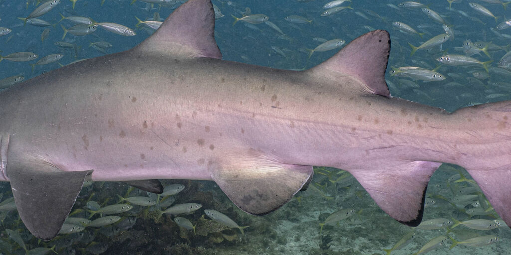 67fb2600-7e02-497c-a83d-f4f26036728f