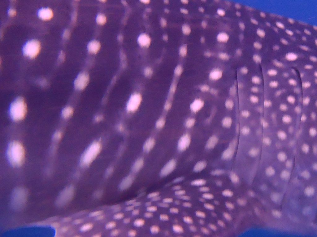 5642727e-fe33-4155-9188-b0c8afac908e