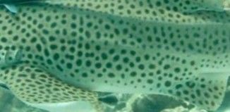 8cbd2b57-9e4f-4954-8ea0-cc67a0420142