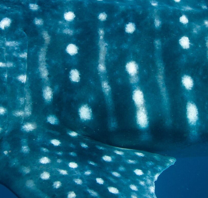 1d5edcb2-5597-4d09-a391-c80cf6bb1fb2