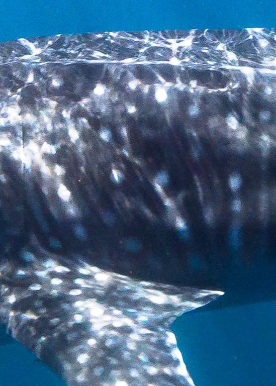 be7397a0-59ec-4fc9-a954-ddd8b86460f0