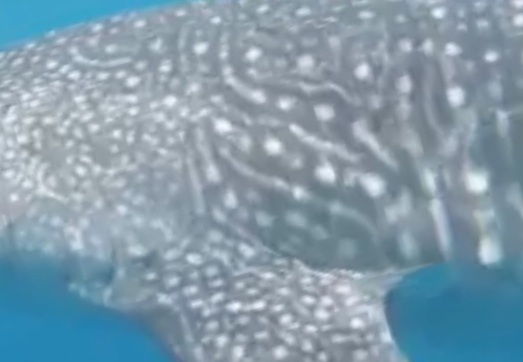 a099bc06-bda4-46db-93a2-d58a10e650fc