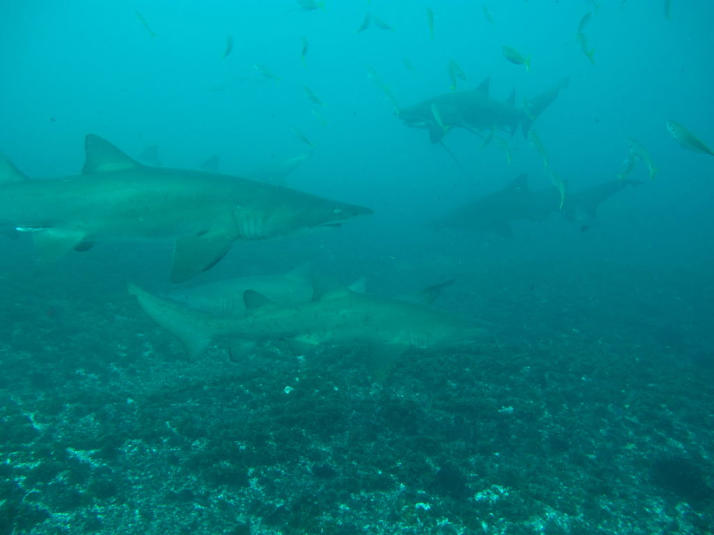 f71dbae3-6a1b-4fab-856d-8b56e08049ab