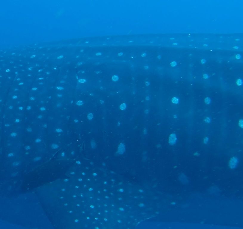 ef56b7aa-6cc1-4b0a-a960-b3d1c7b0fed0