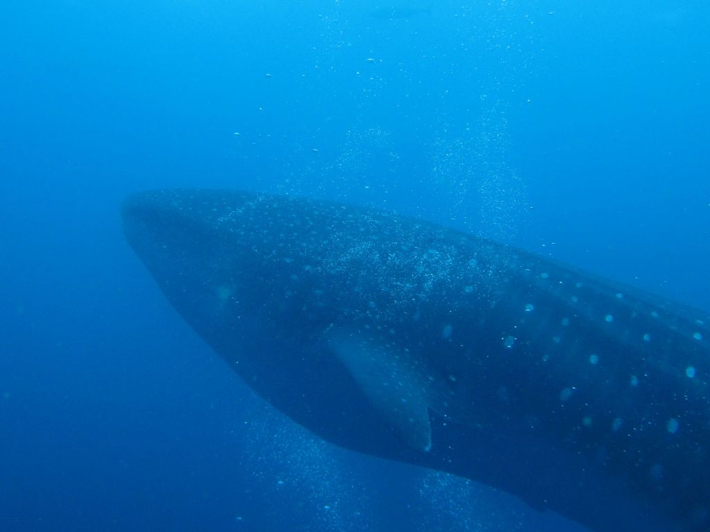 ef56b7aa-6cc1-4b0a-a960-b3d1c7b0fed0