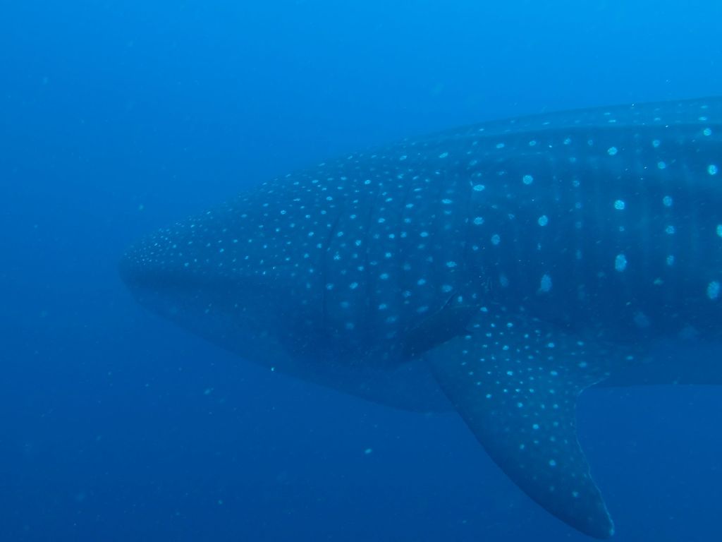 ef56b7aa-6cc1-4b0a-a960-b3d1c7b0fed0