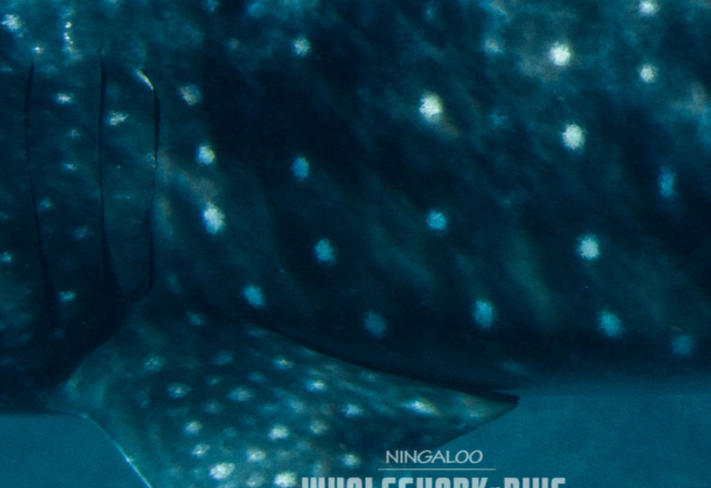 5dd76648-7d75-45fb-9bd4-db2bbf385175