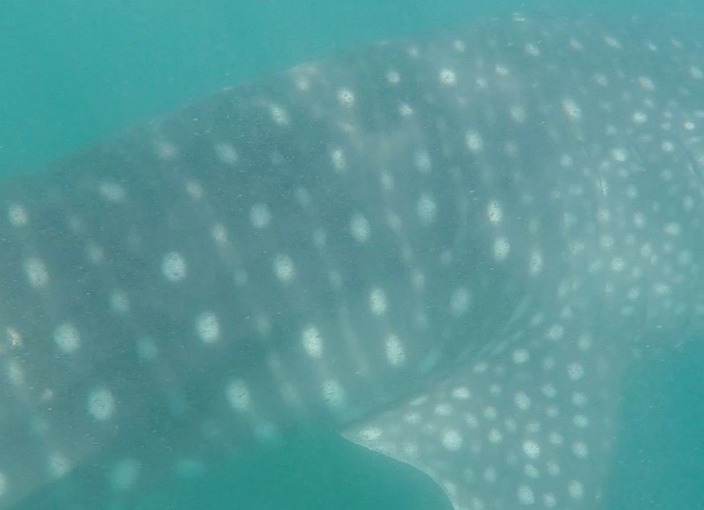 5900f4be-7791-4aab-9a38-1a7f2d5249d4