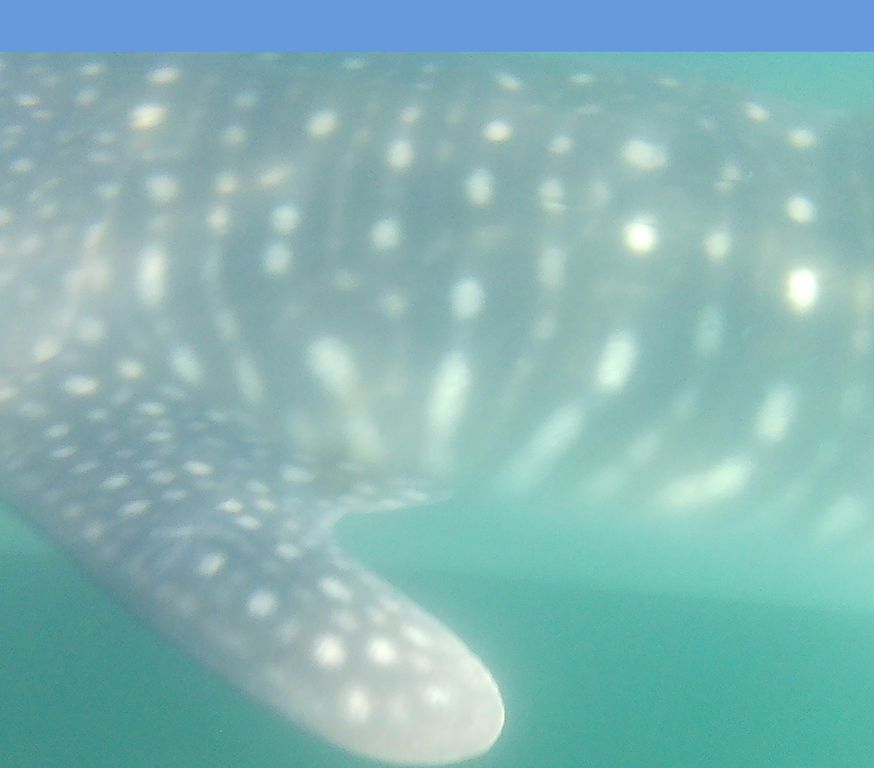 5900f4be-7791-4aab-9a38-1a7f2d5249d4