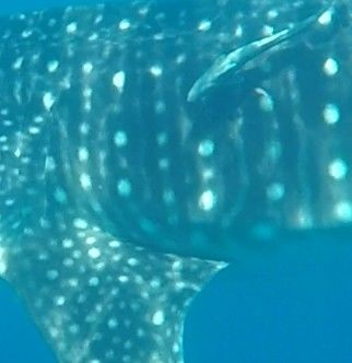 fd7c2e42-2e8c-4ebe-88f3-1557d36e701b