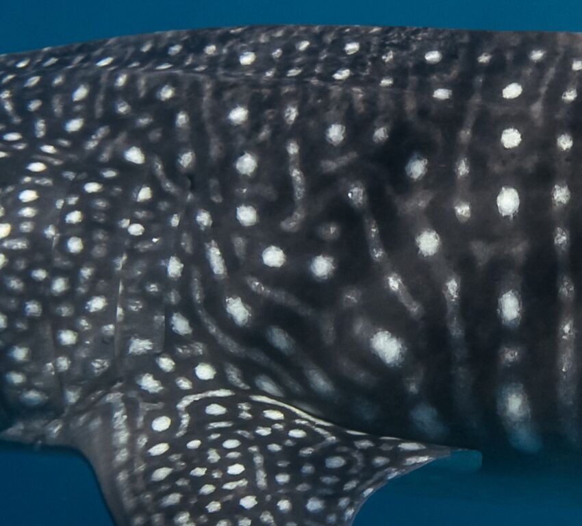 a5bbee6e-f9e9-4569-a931-93d164518f8c