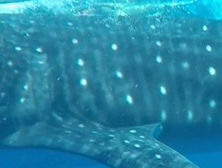 d346ca2f-0ba2-408b-84ce-6a5fdd01a1bf