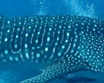 f04395df-d142-4198-91a9-d444ea84c952