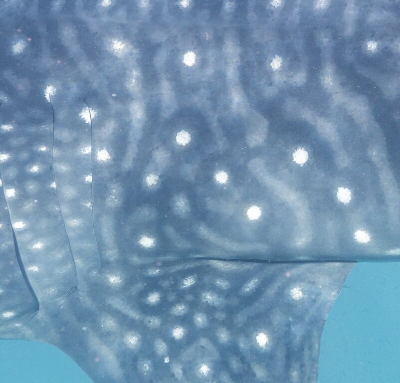 12d065c5-adc4-4848-b539-15167d23c207